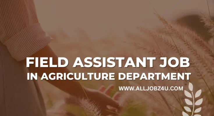 FIELD ASSISTANT JOB