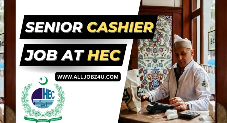 Senior Cashier Job