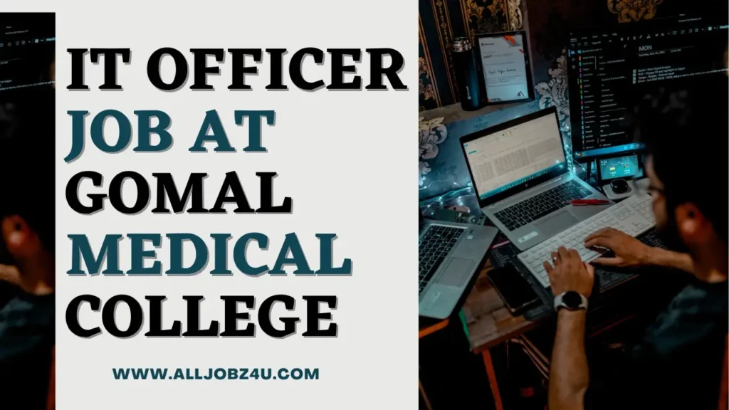 IT Officer Job