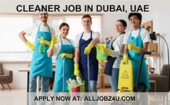 Cleaner-Job